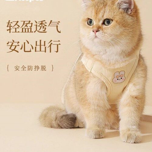 猫咪牵引绳宠物胸背带背心式防挣脱耐磨遛猫绳链子外出专用