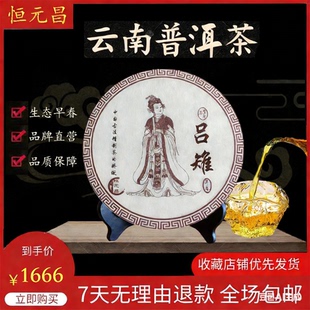 昌2024年吕雉生态早春 云南普洱茶恒元