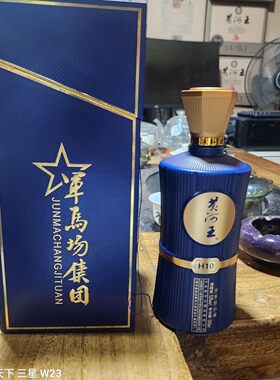 52度黄河王h10年份酒纯粮优级东营特产自饮聚会口粮惊喜整箱优惠