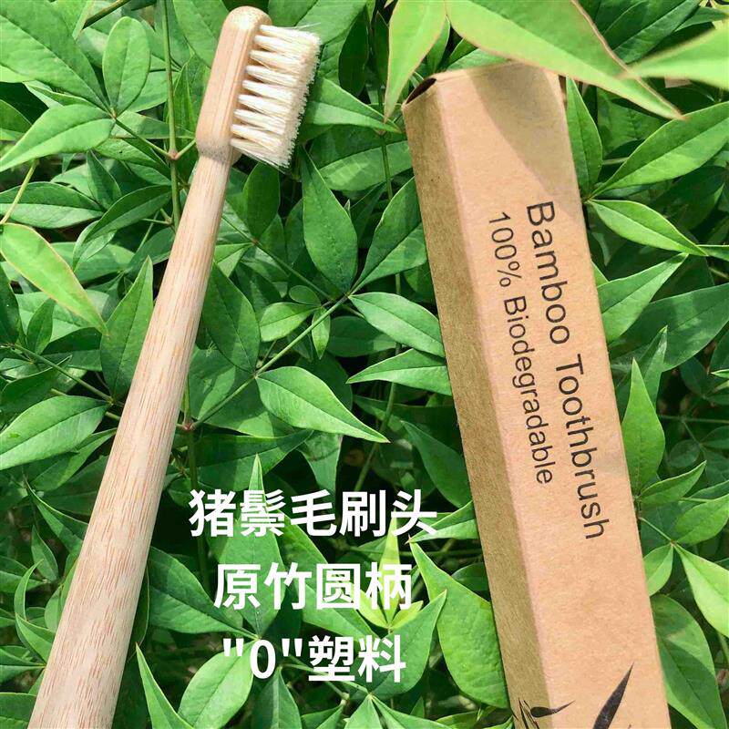 竹子牙刷环保竹牙刷猪鬃毛无塑料圆柄舒适可降解