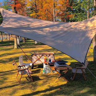 天幕户外露营帐篷便携式 遮阳棚超轻野餐防雨防晒凉棚野营沙滩帐篷