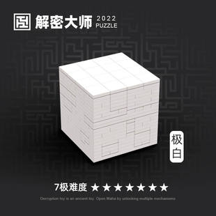 高质量玩具puzzle十级难度解密盒高智商烧脑玩具15岁女士成年儿童