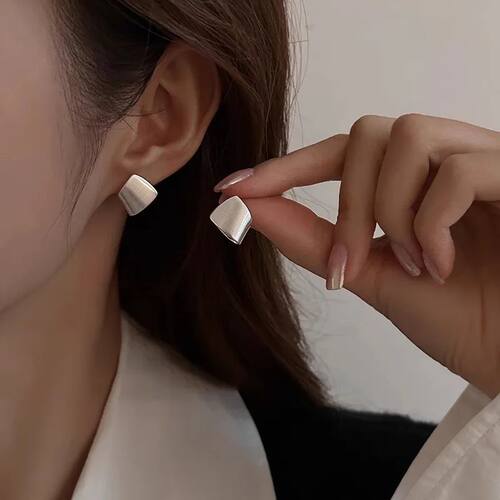 Sterling Silver Geometry Studs Earrings For Women Frosting