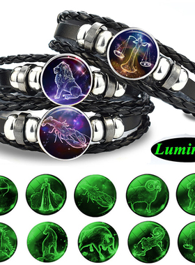 Gemini Leo Libra Scorpio Sagittarius 12 Constellation Lumino