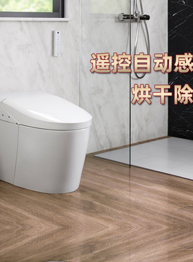 TOTO轻智能马桶CES7H010家用一体式抗菌G5-Lite智能坐便器(01)