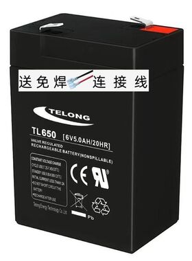 TELONG电瓶 TL650 6V5.0AH/20HR 玩具车 童车 小孩子电动汽车电池