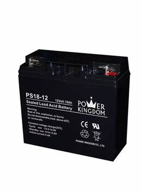 POWERKINGDOM蓄电池PS18-1212