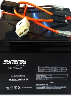 SYNERGY蓄电池 PK1270 12V7AH F1 免维护可充电电池