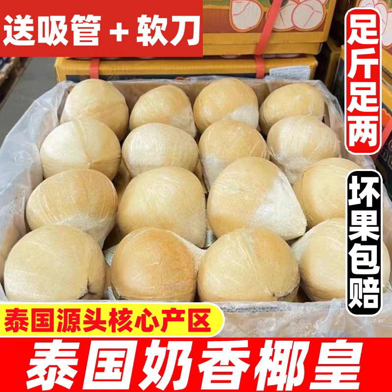 泰国进口椰皇椰青小奶椰香水椰子当季新鲜水果煲汤老椰包邮
