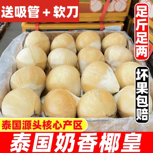 泰国进口椰皇椰青小奶椰香水椰子当季新鲜水果煲汤老椰包邮