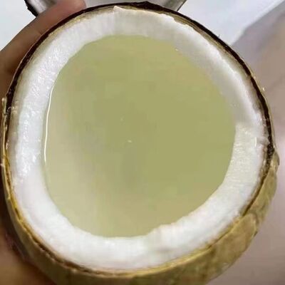 Импортированный из Таиланда молочный кокос, королевский кокос, зеленый сезонный маленький кокос, свежие сезонные фрукты для беременных, старый кокосовый куриный суп, бесплатная доставка