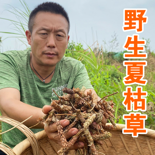 野生夏枯草中药材无硫夏枯草茶特级夏枯球蒲公英泡水喝干货250g
