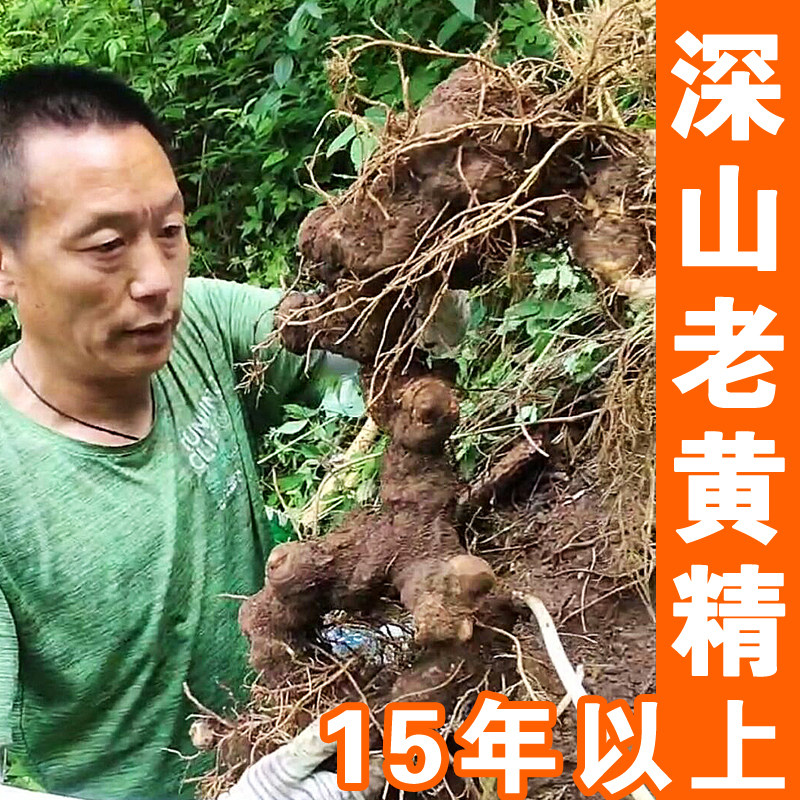 深山黄精中药材500g黄精茶新鲜黄精片黄精干货泡水喝煲汤泡酒药材