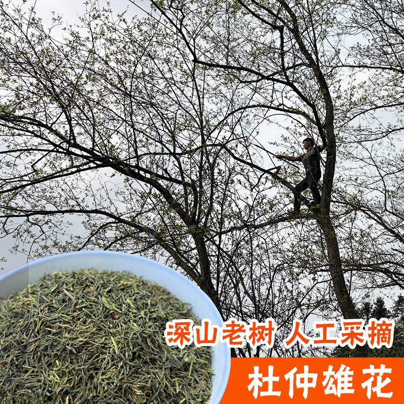 湖南张家界杜仲雄花中药材野生杜仲雄花茶男士杜仲雄花蕊泡水100g