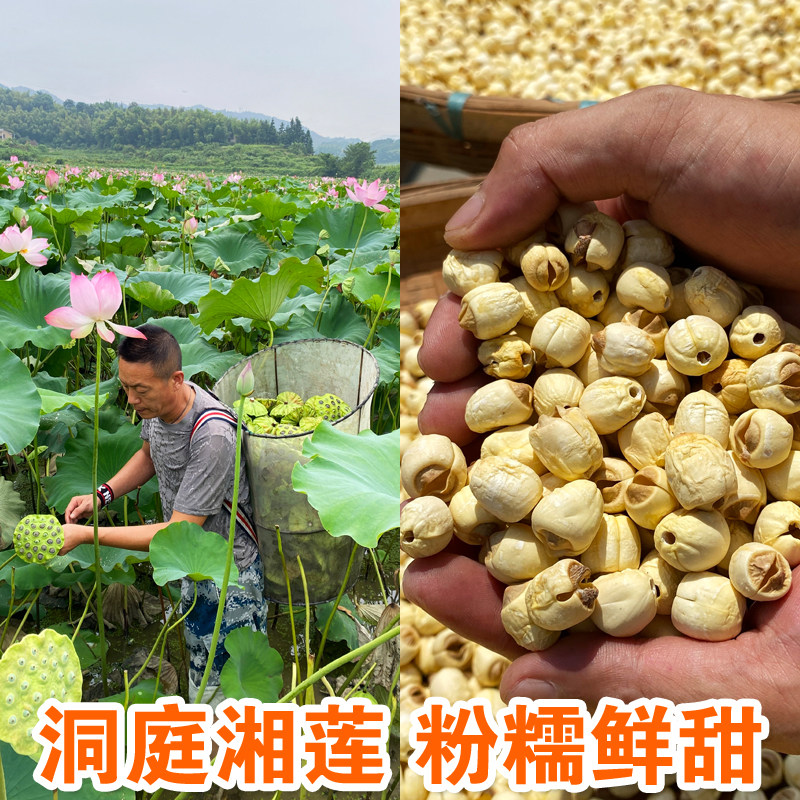 纯正莲子干货500g特级湘莲新鲜莲子白莲子肉去心芯莲子干中药材