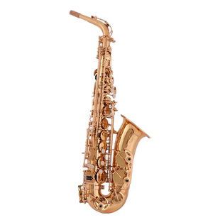 未诺新款VAS-C50降E调中音萨克斯风初学考级演奏爵士经典流行乐队