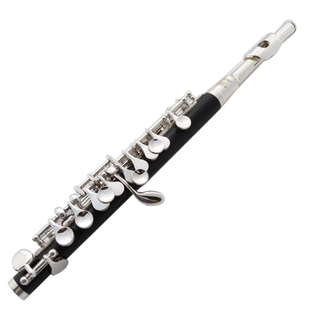 未诺 短笛C调西洋乐器 VPC-E100S短笛 管乐队专业演奏级 镀银
