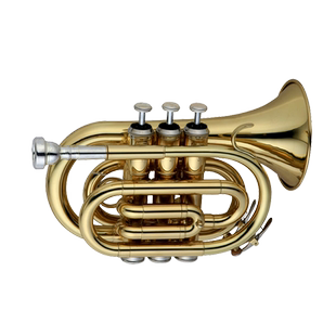 未诺 便携式小号降B调手掌号袖珍短号黄铜乐器VHT-E100学生