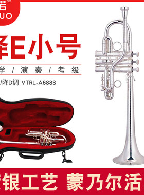 未诺d调镀银专业演奏考级乐器