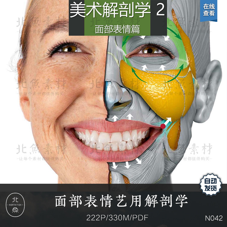 面部表情艺用解剖学官方素材图集 设计绘画资料灵感概念美术参考