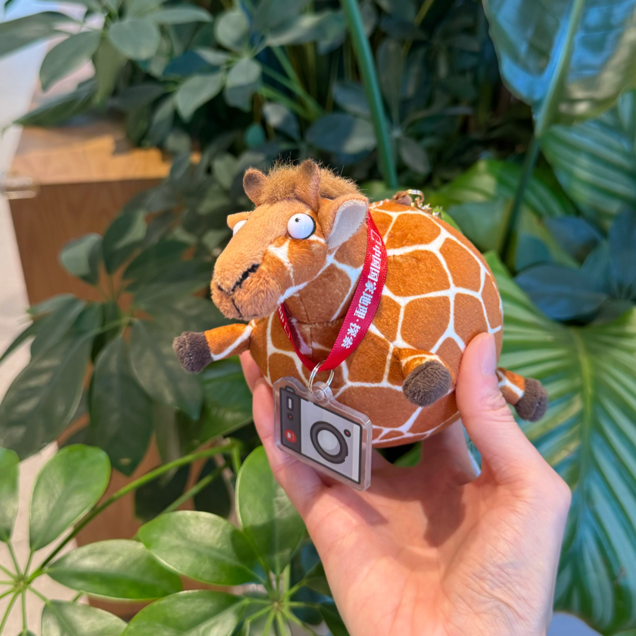 中国国家地理正版玩偶 圆滚滚动物世界 解压捏捏毛绒玩具挂饰礼物