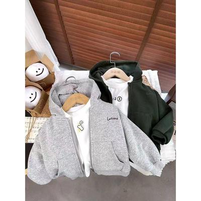 男童秋装韩版加厚童装连帽拉链卫衣开衫儿童男孩春秋洋气帽衫外套