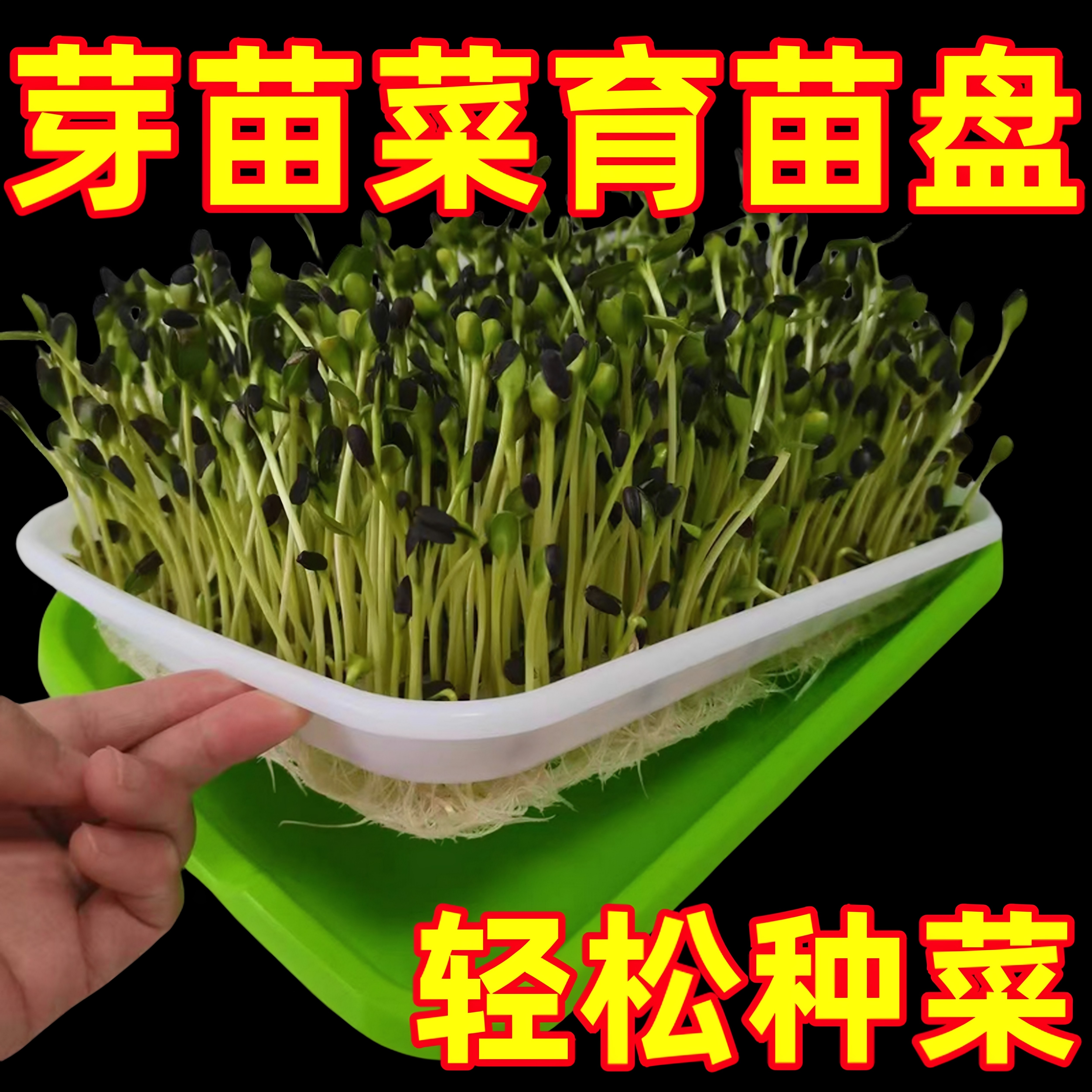 育苗盘豆芽发芽专用盆水培盒芽苗菜豌豆苗种植网格盘神器塑料托盘