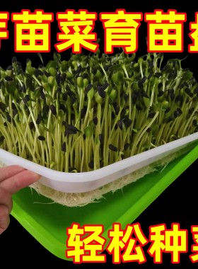 育苗盘豆芽发芽专用盆水培盒芽苗菜豌豆苗种植网格盘神器塑料托盘