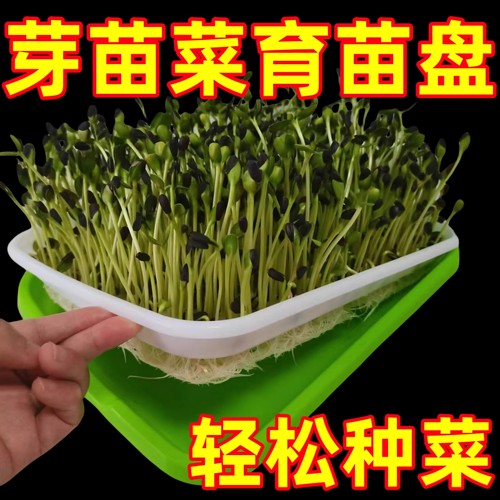 育苗盘豆芽发芽专用盆水培盒芽苗菜豌豆苗种植网格盘神器塑料托盘