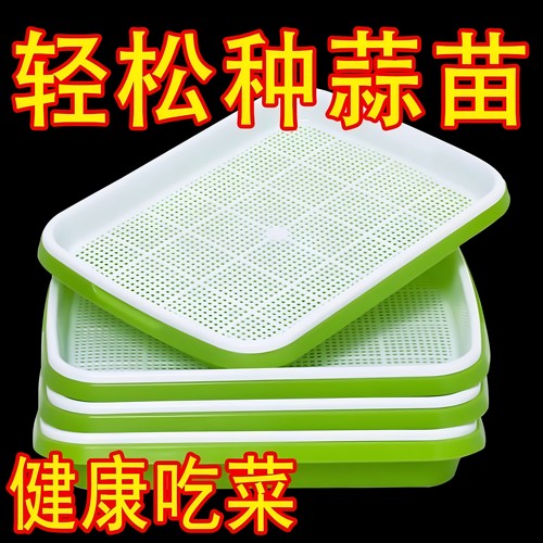 育苗蔬菜盘盆芽苗菜水培网格豌豆苗豆芽种植盘阳台小菜园种植育苗