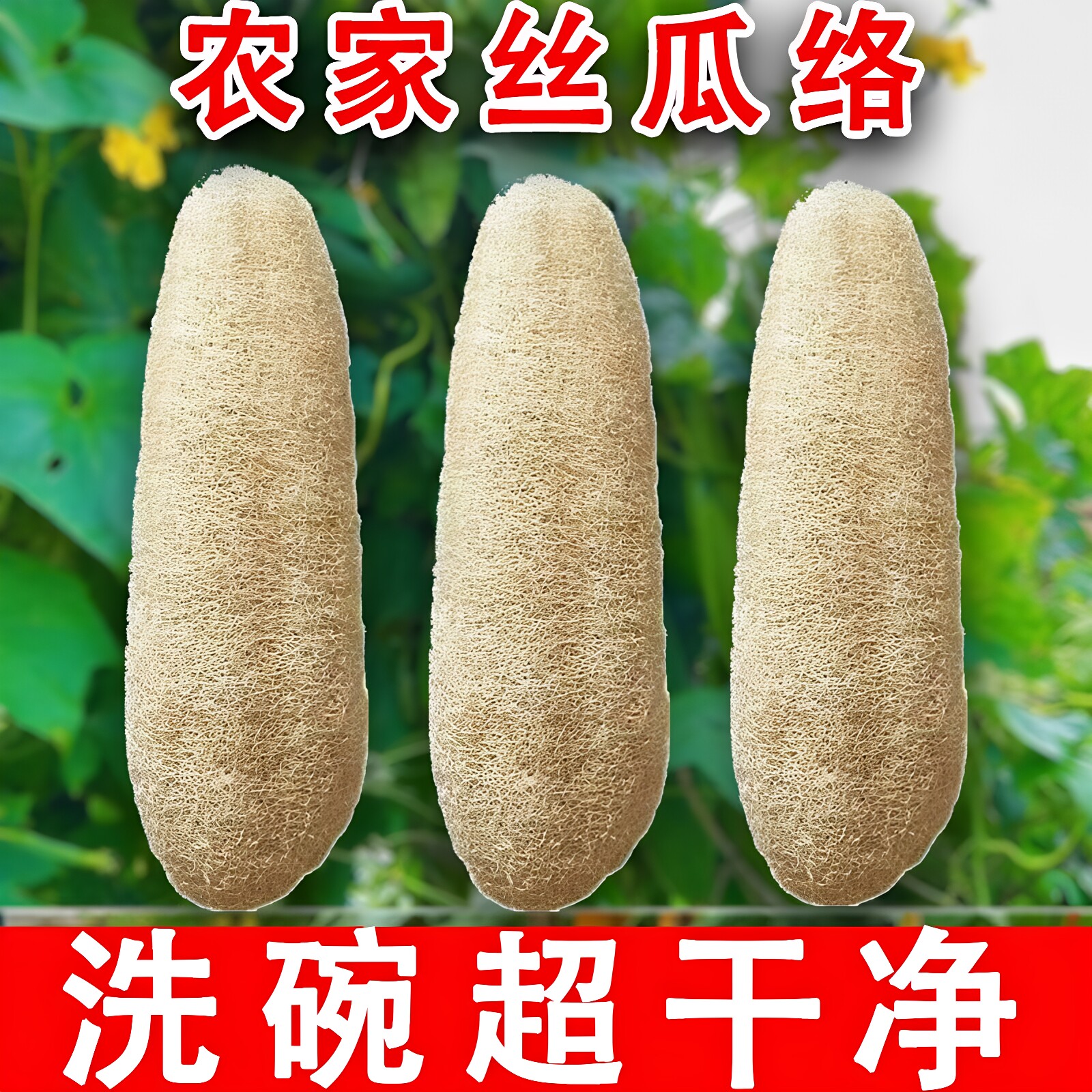 丝瓜络洗碗抹布水瓜锅刷去污不沾油百洁布洗碗神器干丝瓜瓤厨房用