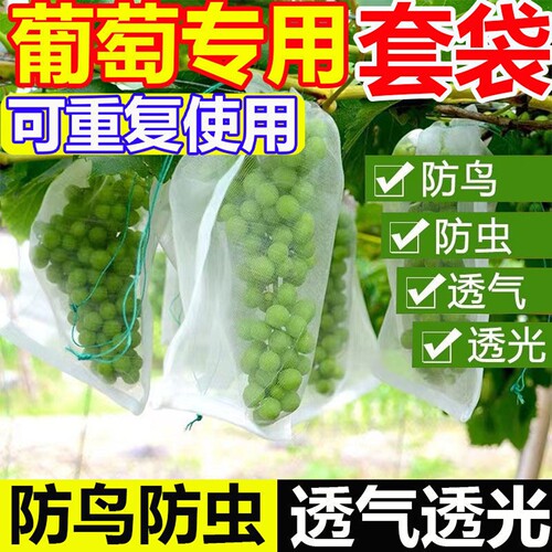 水果套袋防虫防鸟尼龙专用网袋