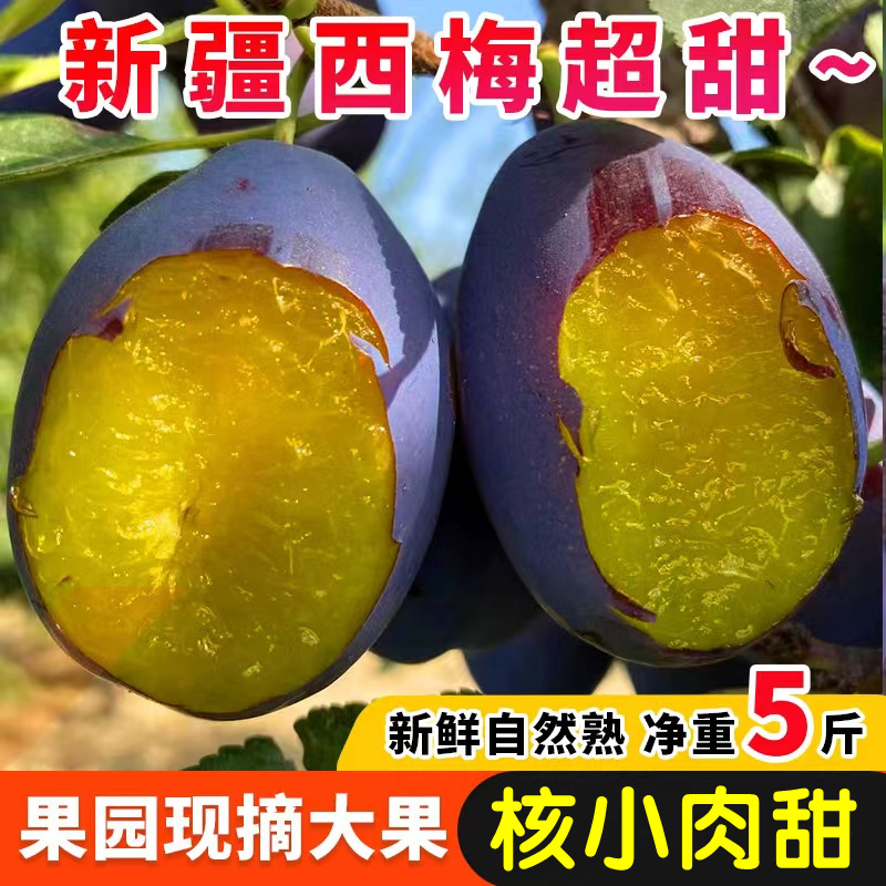 西梅新鲜水果现摘孕妇李子大西梅