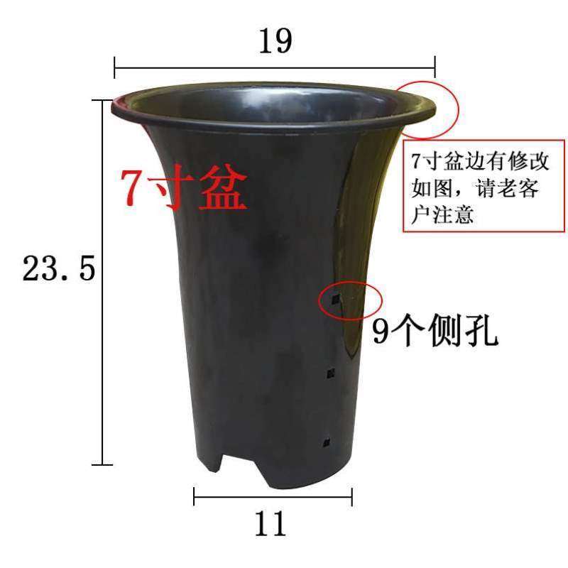 绿兰加高寸盆清仓实用塔型兰花塑料兰盆盆兰花加厚透气专用通风,鲜花速递/花卉仿真/绿植园艺,花盆,淘宝优惠券,粉丝福利购,淘宝优惠卷