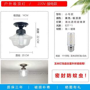 吊灯阳光房玻璃室外灯户外露雨棚台灯走廊凉亭吸顶灯阳台庭院专用