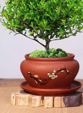 掌中宝盆陶瓷微桌面红色花盆花盆盆景盆紫砂盆景紫砂禅意盆景精品