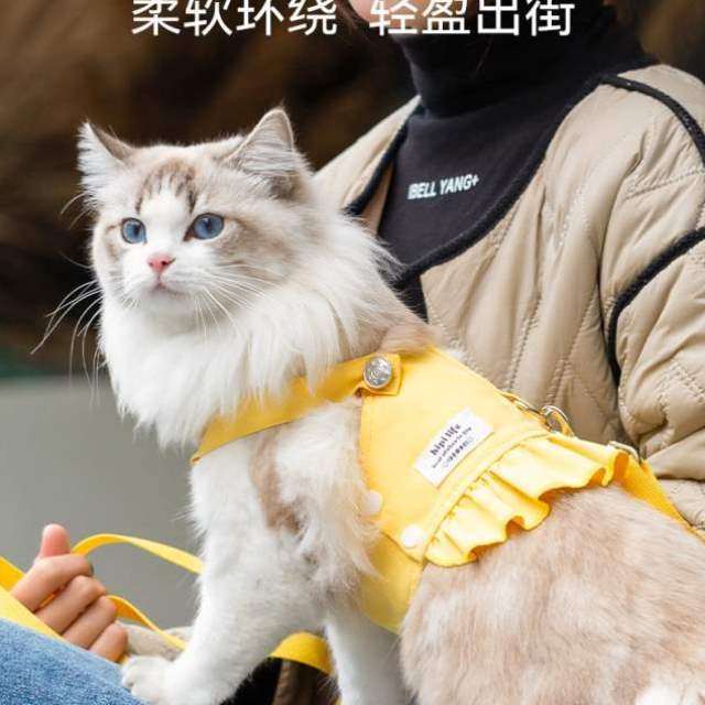 英短美短猫咪宠物用品猫造型夏季防外出透气挣脱布偶多巴胺牵引绳,宠物/宠物食品及用品,猫牵引绳,淘宝优惠券,粉丝福利购,淘宝优惠卷