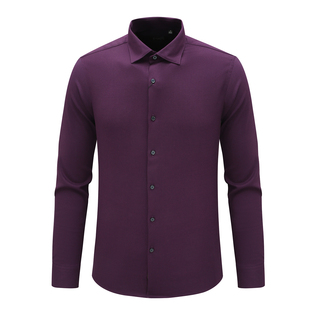 时尚 衬衫 商务休闲羊毛混纺翻领长衬PN1716 春秋长袖 PA081潘男式