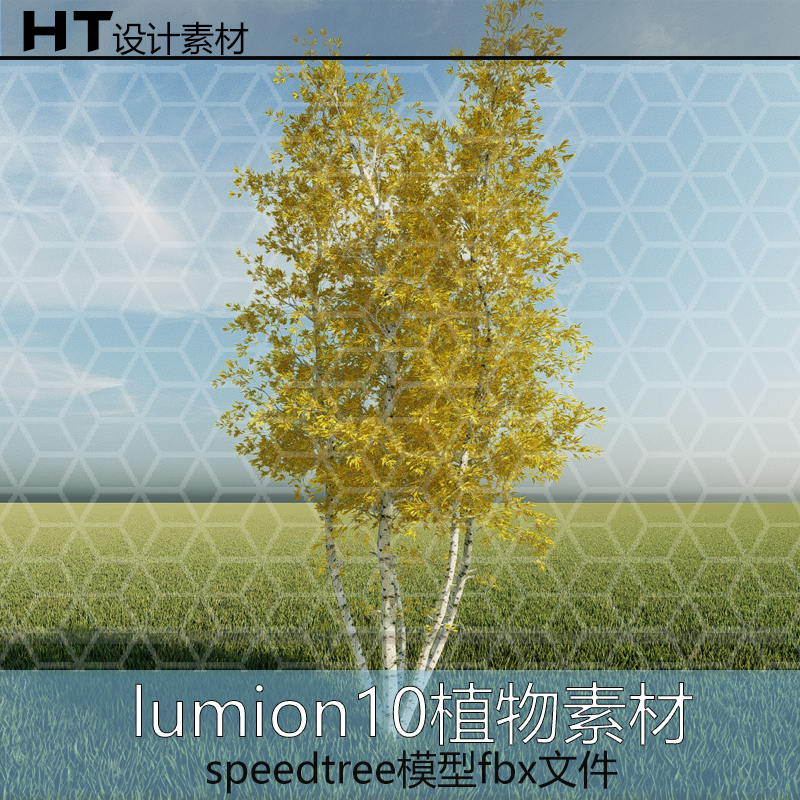 lumion8--13 丛生白桦树fbx模型 speedtree制作