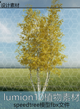 lumion8--13 丛生白桦树fbx模型 speedtree制作
