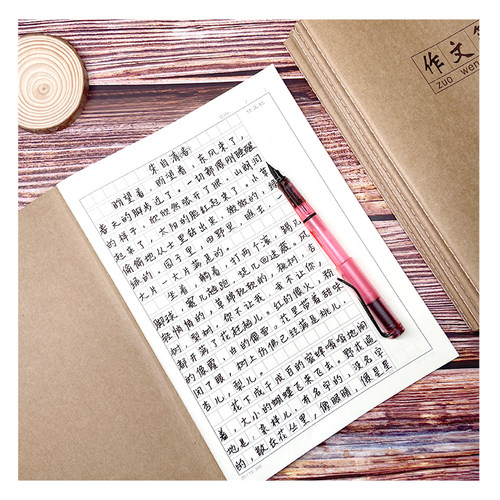 小学生16K作文本400格/300格课时