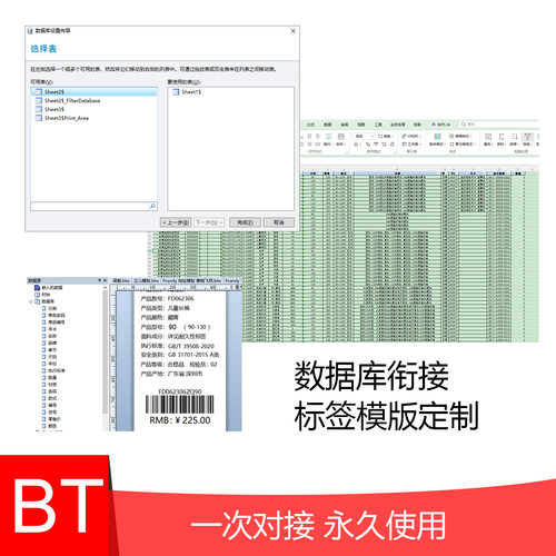 Bartender 标签设计模版定制数据库衔接打印机吊牌模版设计定制