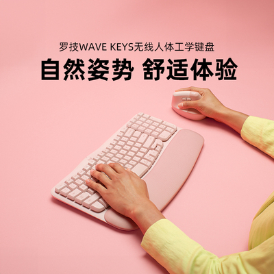 罗技人体工程学键鼠套装
