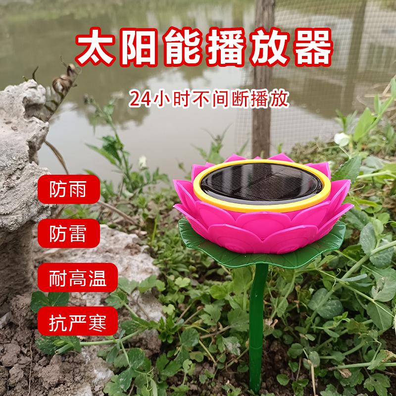 户外太阳能莲花播放器防雨防雷防冻音响公墓24小时循环播音唱歌机