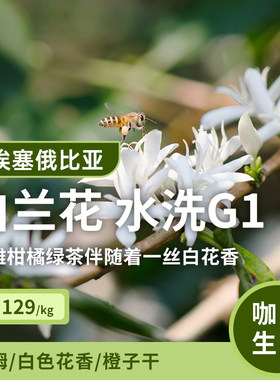 【25产季】白兰花水洗G1 埃塞俄比亚耶加雪菲生豆印格咖啡生豆1KG