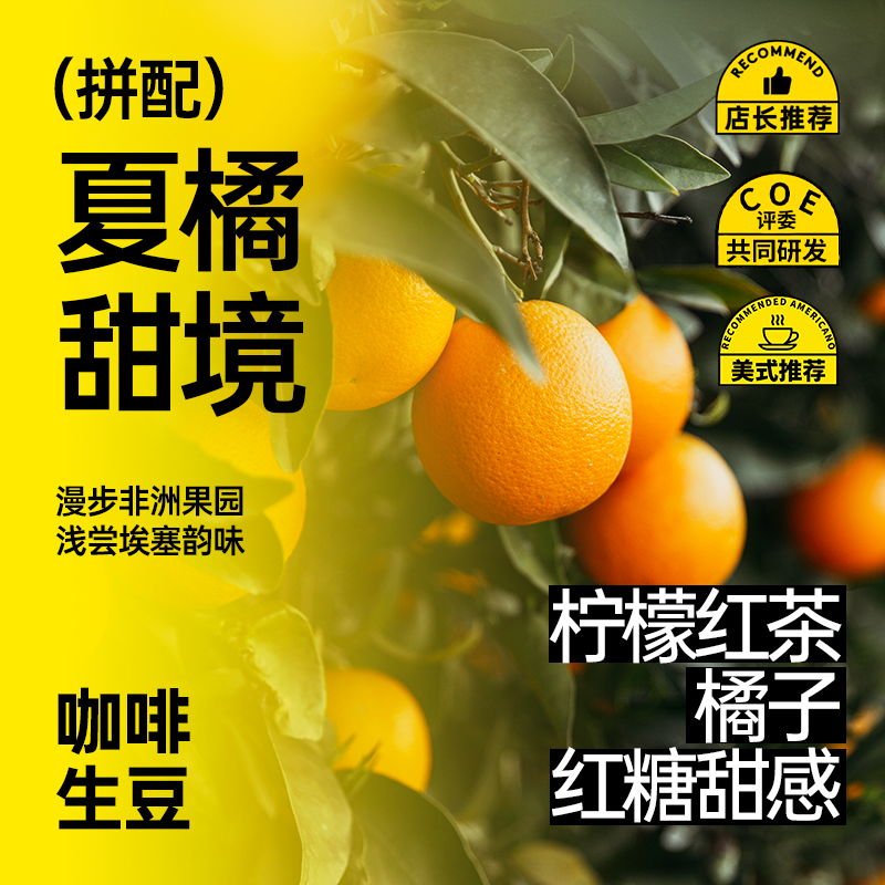 印格夏橘甜境意式拼配咖啡生豆