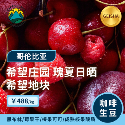 哥伦希望庄园日晒瑰夏咖啡生豆