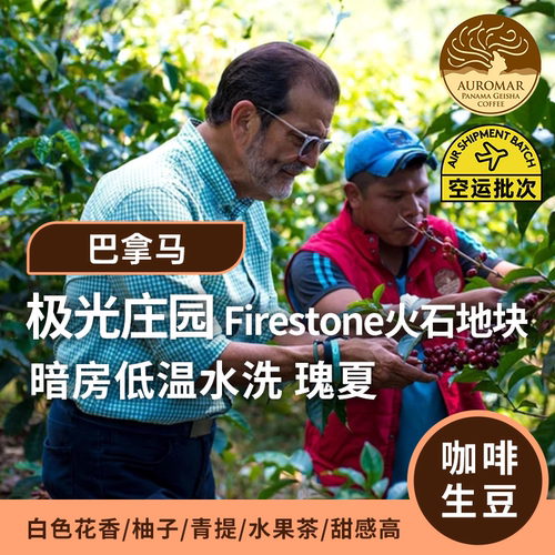 【26产季】巴拿马极光庄园火石地块暗房低温水洗瑰夏印格咖啡生豆