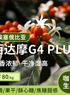 【25产季】西达摩班莎 日晒G4Plus 印格埃塞俄比亚咖啡生豆1KG