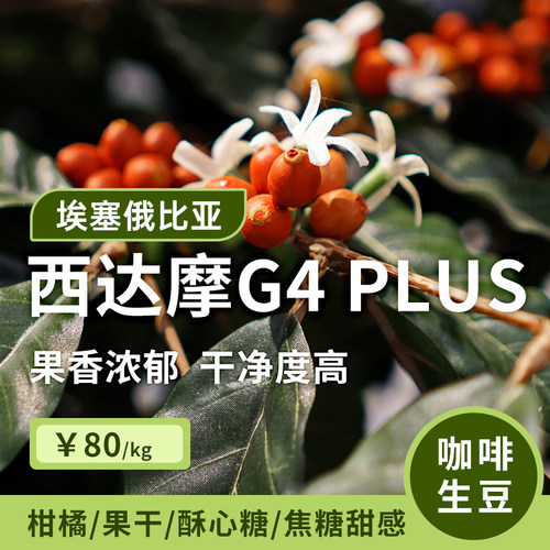 【25产季】西达摩班莎.日晒g4Plus 埃塞俄比亚咖啡豆印格咖啡生豆